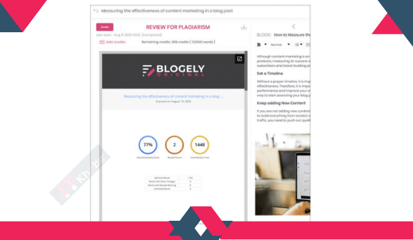 Blogely review
