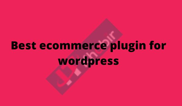Best ecommerce plugin for wordpress