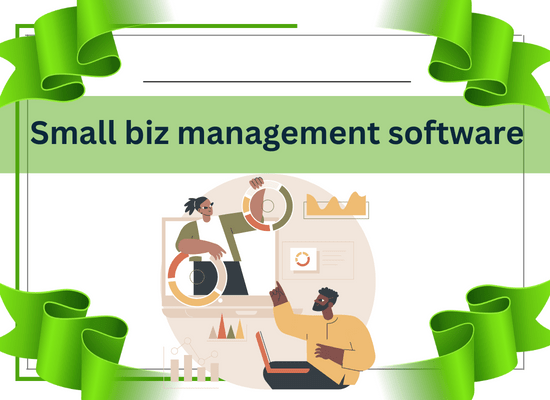 Small biz management software